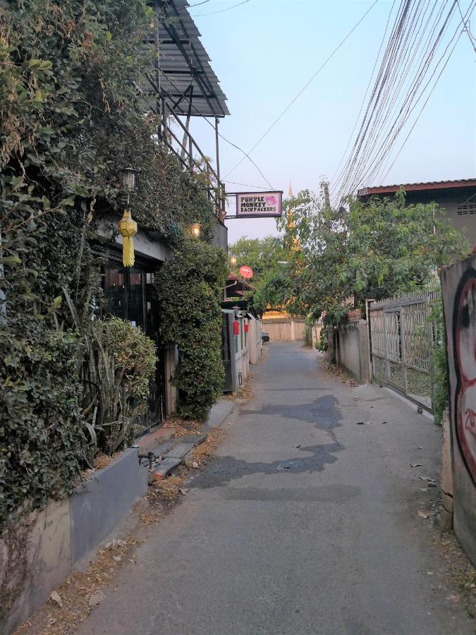 Purple Monkey Backpackers Chiang Mai Hostel Exterior photo